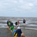 Kinderwattwanderung in Westerhever